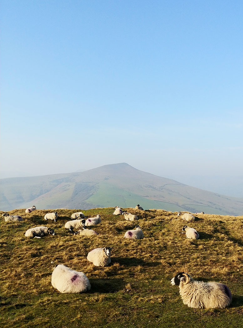 Lost in Hope // England // RW4